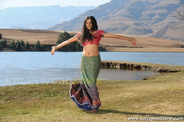 Hot Priyamani Pictures