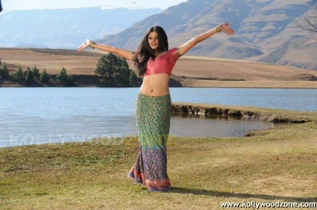 Hot Priyamani Pictures