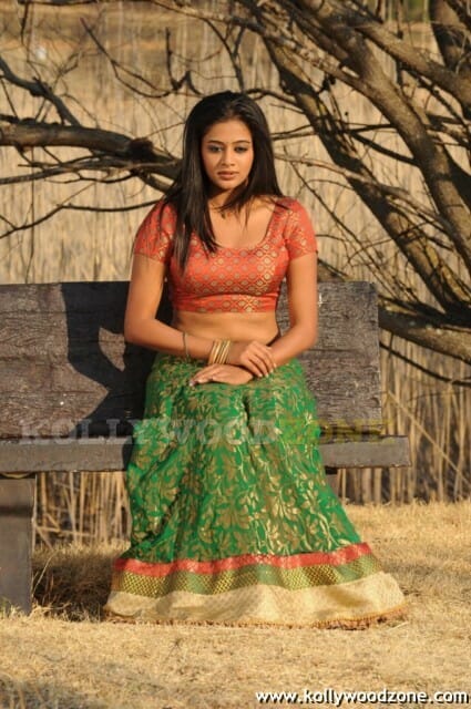 Hot Priyamani Pictures