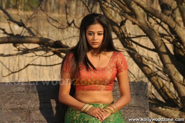 Hot Priyamani Pictures