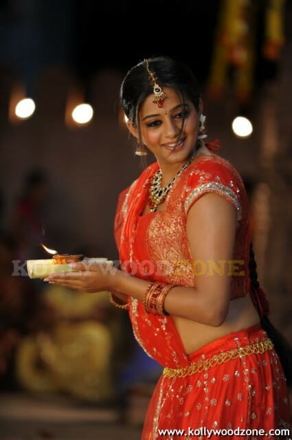 Hot Priyamani Pictures
