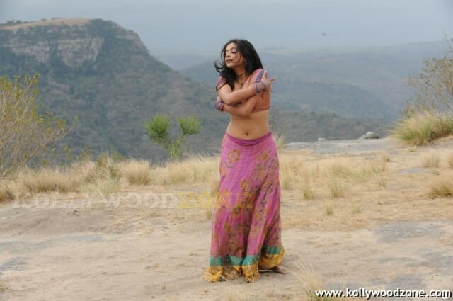 Hot Priyamani Pictures