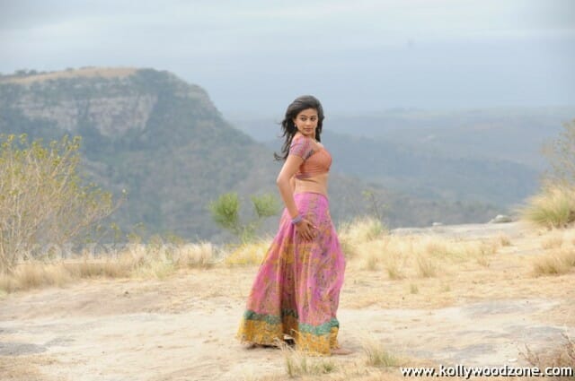 Hot Priyamani Pictures