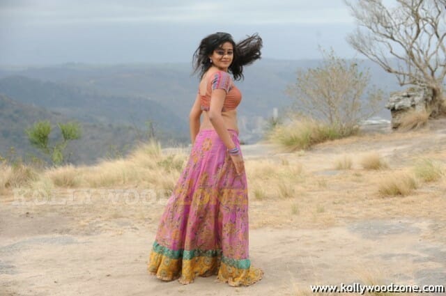 Hot Priyamani Pictures