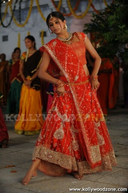 Hot Priyamani Pictures