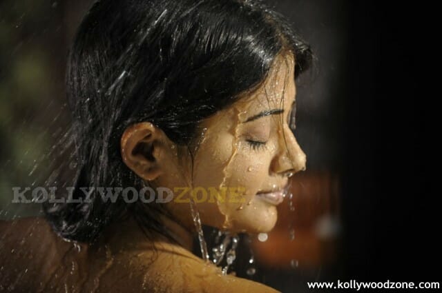 Hot Priyamani Pictures