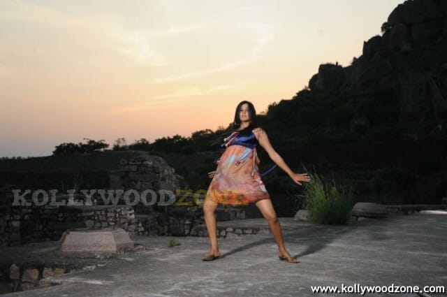 Hot Priyamani Pictures