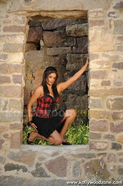Hot Priyamani Pictures