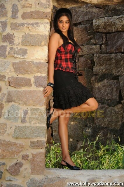 Hot Priyamani Pictures