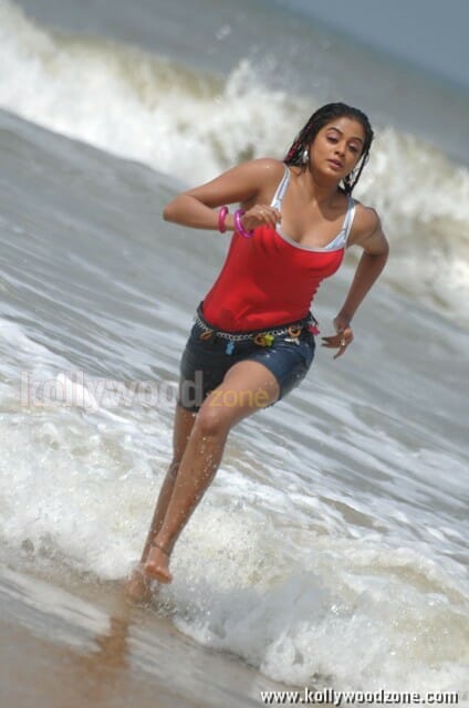 Hot Priyamani Spicy Photos