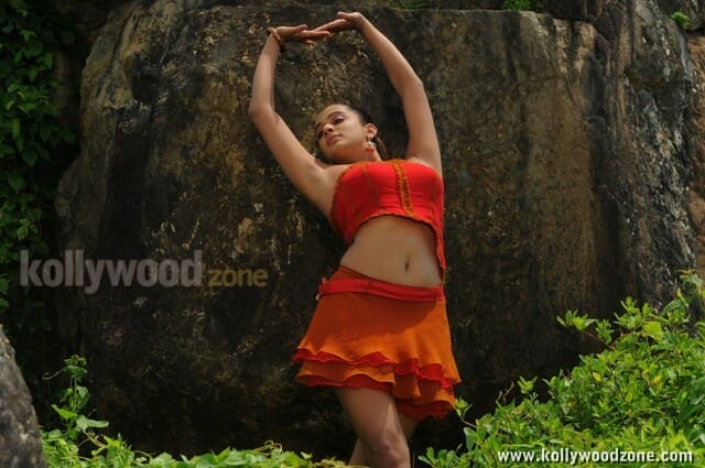 Hot Priyamani Spicy Photos