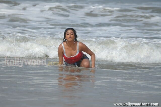 Hot Priyamani Spicy Photos