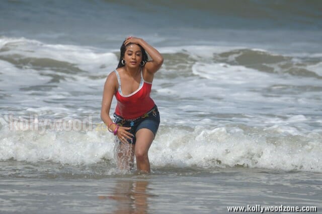 Hot Priyamani Spicy Photos