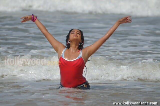 Hot Priyamani Spicy Photos