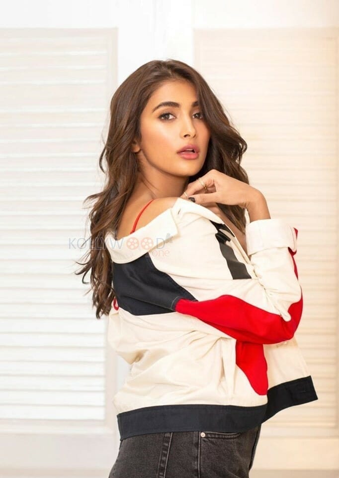 Housefull Heroine Pooja Hegde Sexy Photos