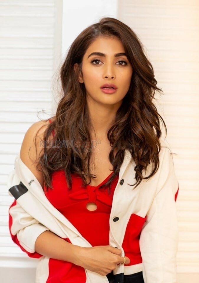 Housefull Heroine Pooja Hegde Sexy Photos