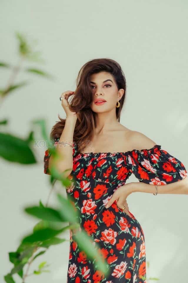 Jacqueline Fernandez in a Red Rose Dress 01