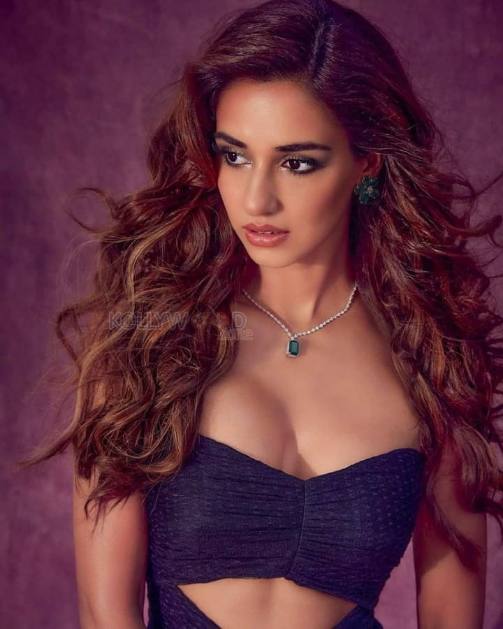 KTina Actress Disha Patani Sexy Pictures