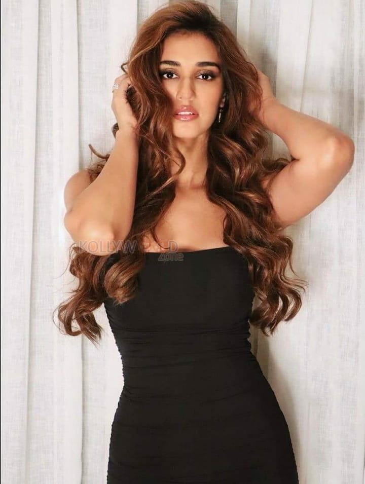 KTina Actress Disha Patani Sexy Pictures