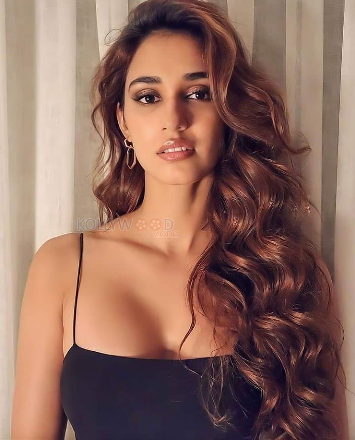 KTina Actress Disha Patani Sexy Pictures