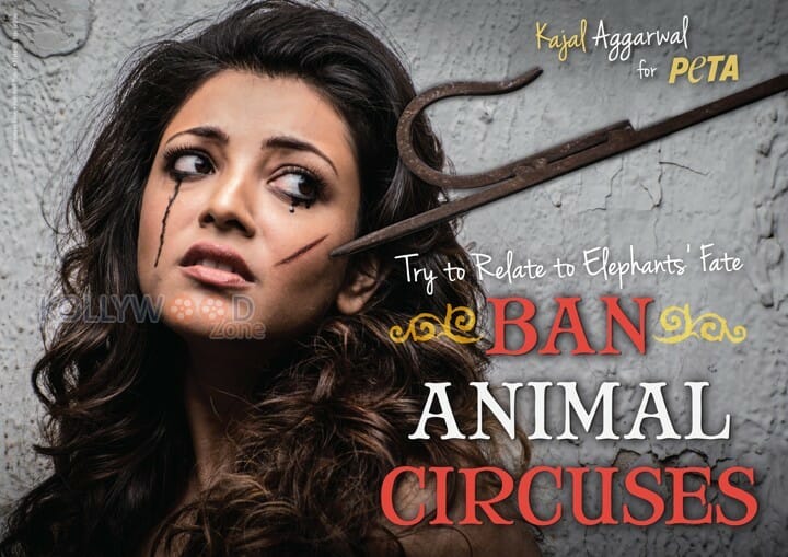 Kajal Agarwal At Peta Event Photos