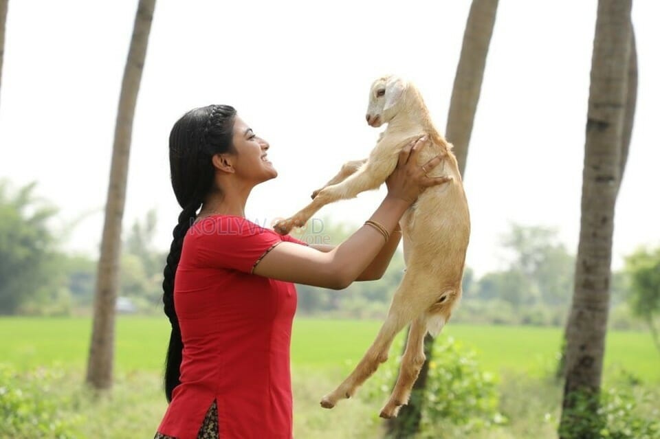 Kamali From Nadukkaveri Movie Photos