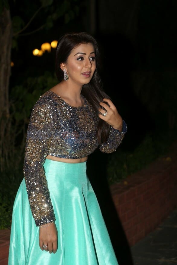 Kannada Beauty Nikki Galrani New Pictures