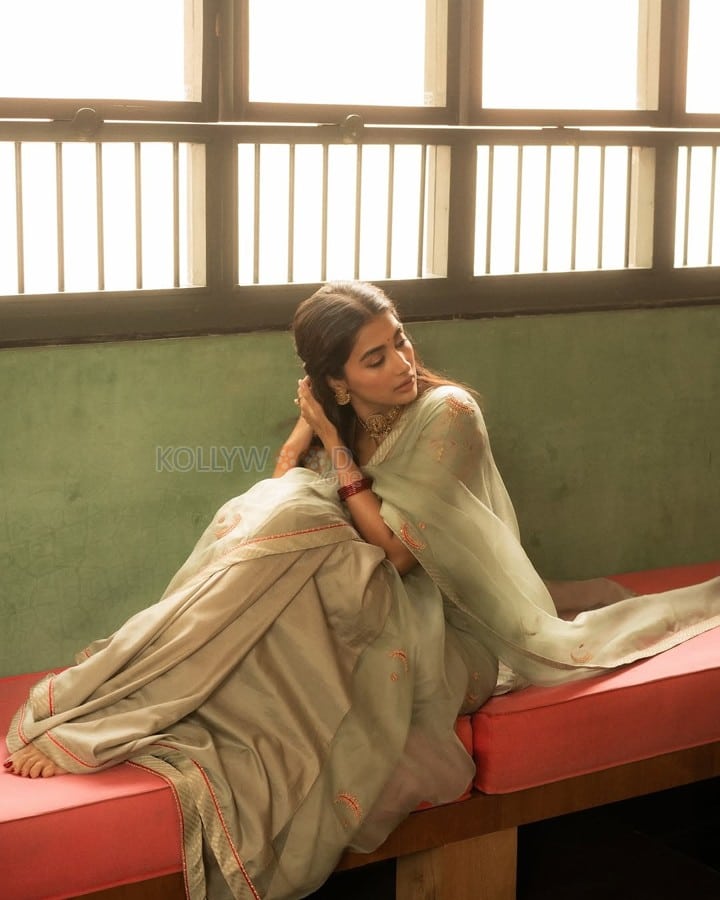 Mesmerizing Pooja Hegde in a Soft Pastel Saree Pictures 02