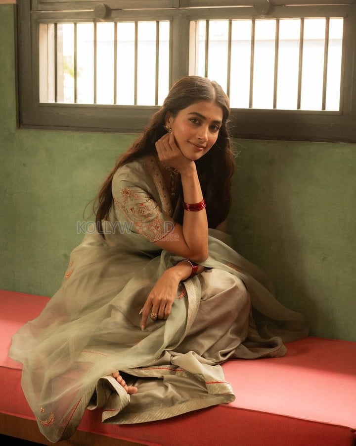 Mesmerizing Pooja Hegde in a Soft Pastel Saree Pictures 03