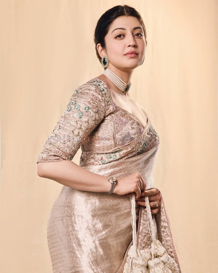 Mesmerizing Pranitha Subhash in a Cream Silk Saree with an Embroidered Blouse Photos 07