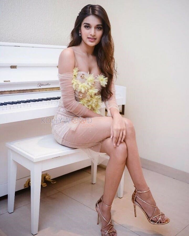 Nidhhi Agerwal Hot Cleavage Pictures