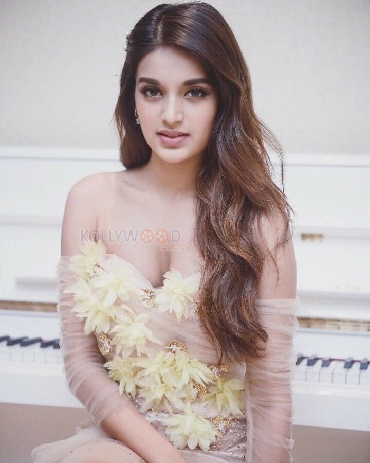 Nidhhi Agerwal Hot Cleavage Pictures