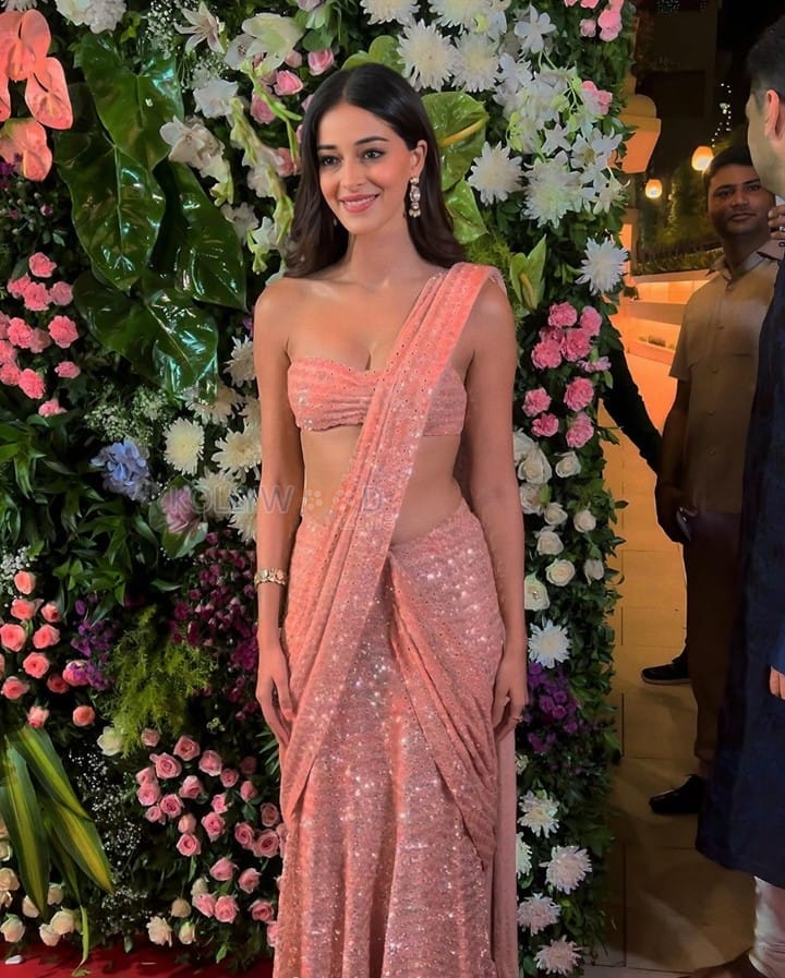 Petite Babe Ananya Panday in a Golden Shimmer Saree Pictures 01