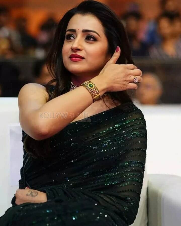 Ponniyin Selvan II Kundavai Ilaiya Piratti Trisha Krishnan Sexy Pictures 08