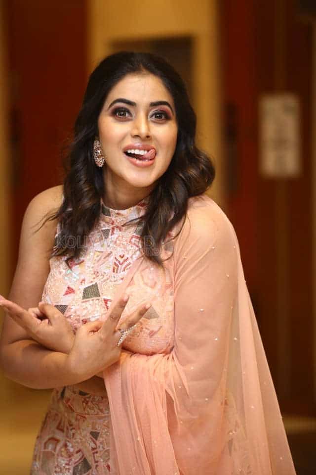 Poorna at Aha Exclusive 3 Roses Pre Launch Stills 12