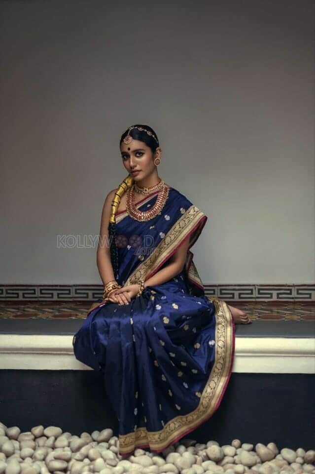 Priya Prakash in a Traditional Saree Photoshoot Pictures 02