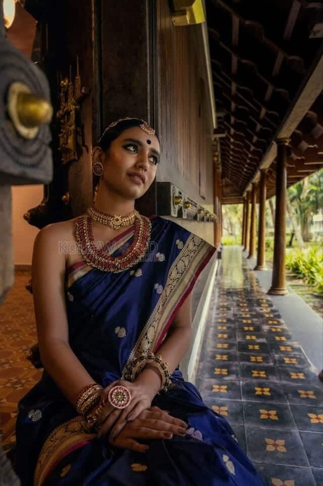Priya Prakash in a Traditional Saree Photoshoot Pictures 04