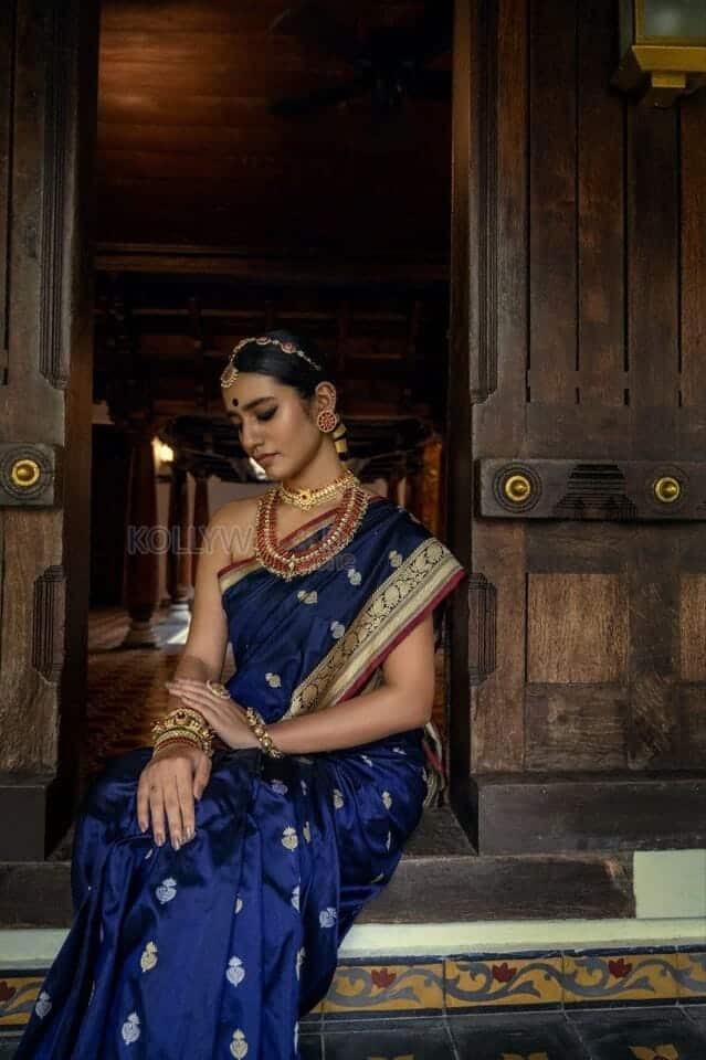 Priya Prakash in a Traditional Saree Photoshoot Pictures 05