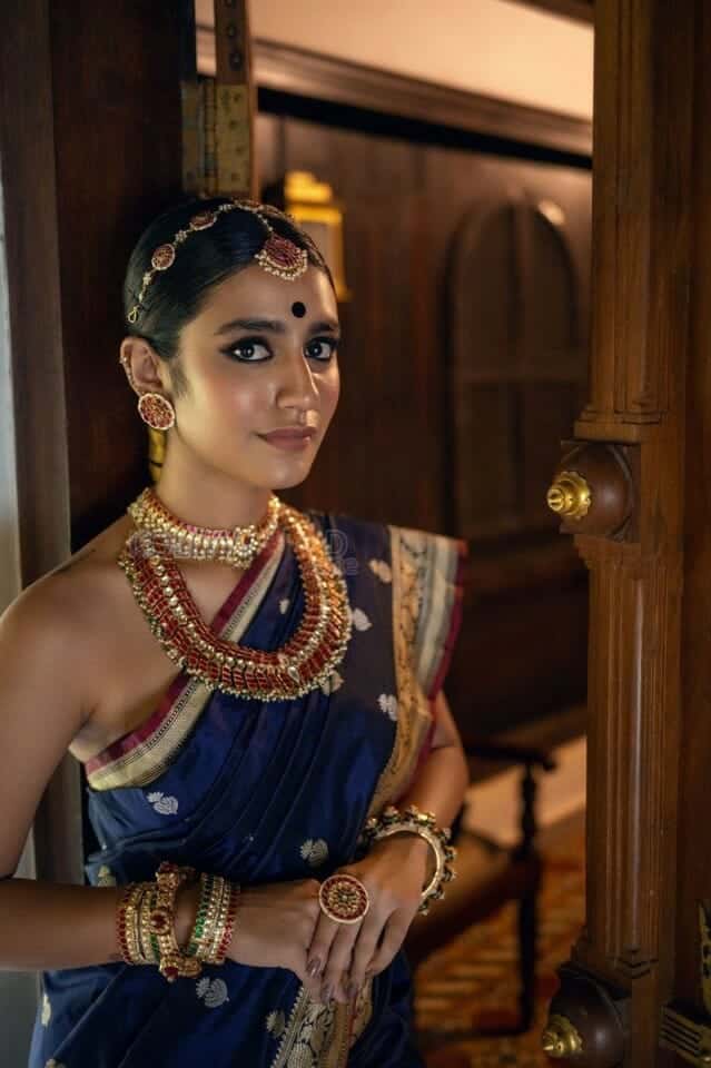 Priya Prakash in a Traditional Saree Photoshoot Pictures 06