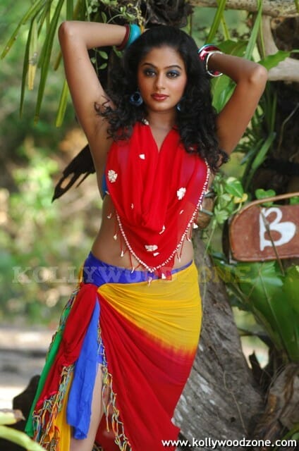 Priyamani Hot And Sexy Stills