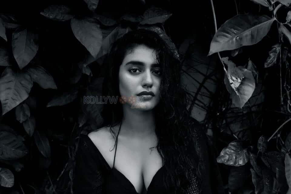 Provocative Priya Prakash Varrier Photos 08