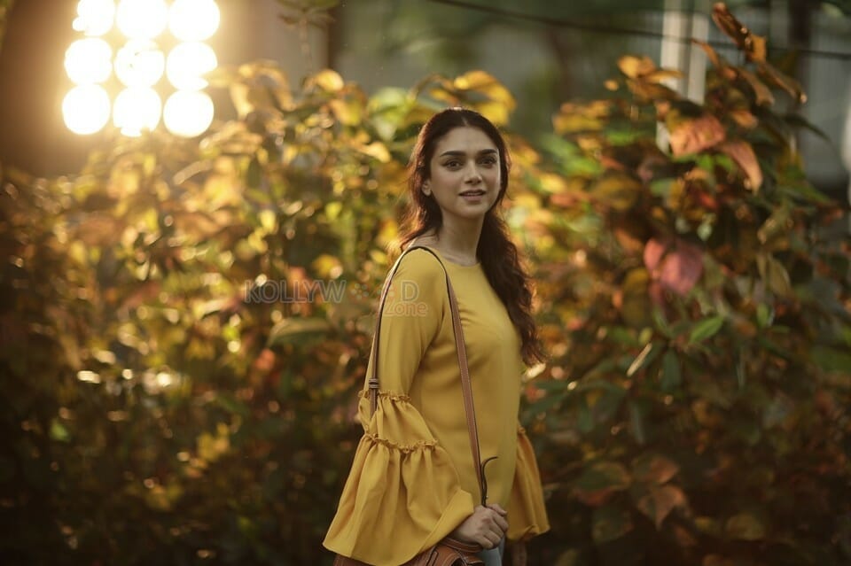 Psycho Movie Heroine Aditi Rao Hydari Pictures