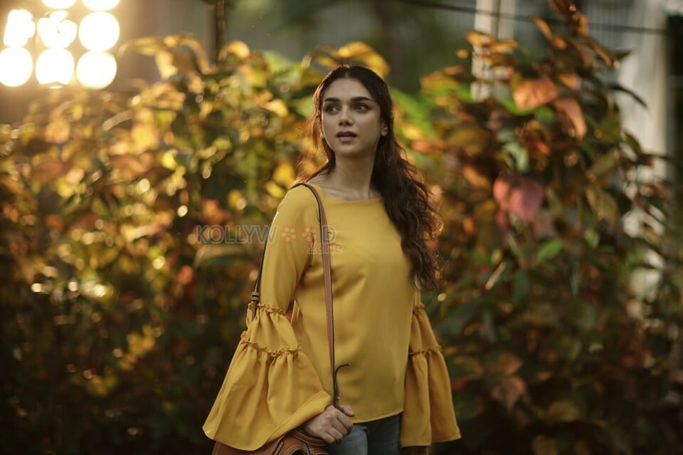 Psycho Movie Heroine Aditi Rao Hydari Pictures