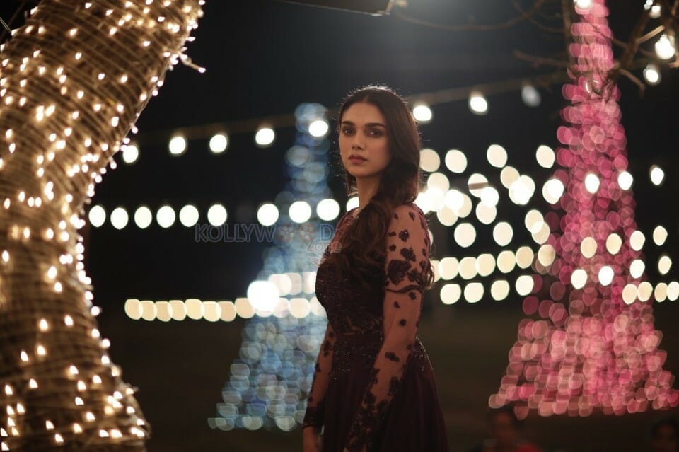 Psycho Movie Heroine Aditi Rao Hydari Pictures