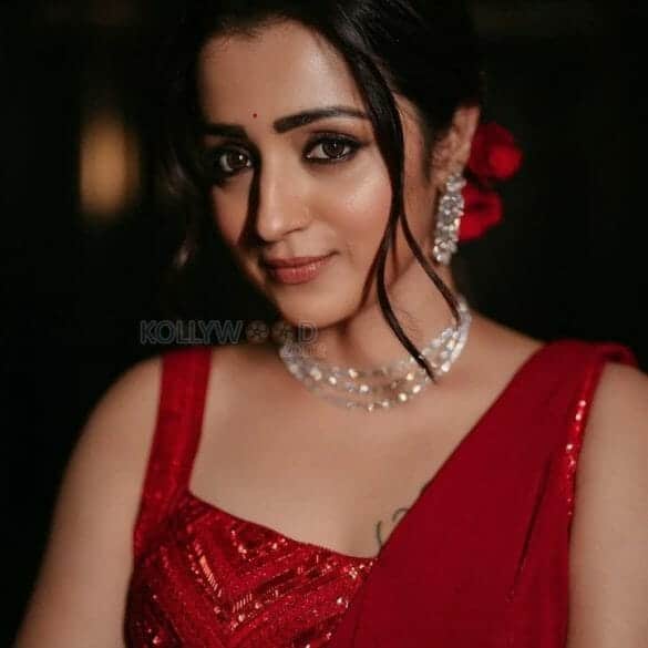 Trisha to Play a Dual Role in Megastar’s Next?