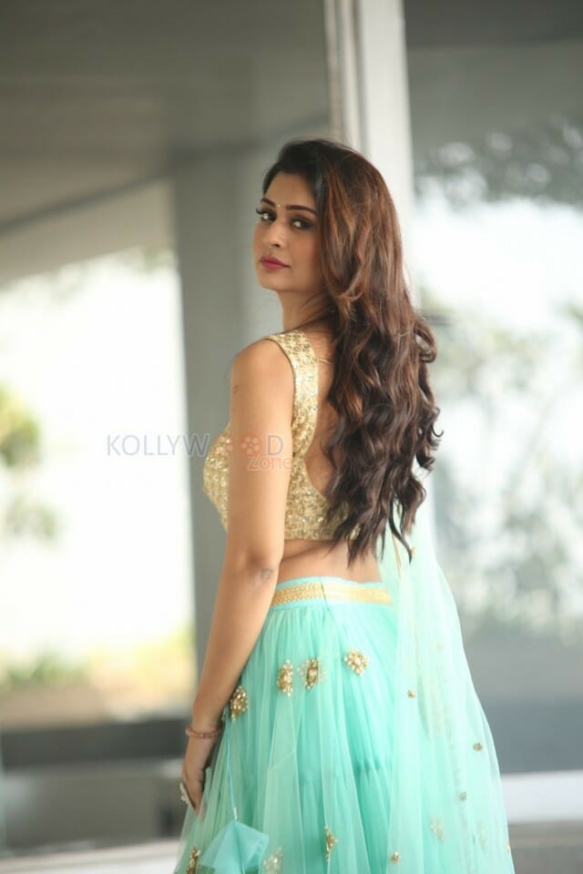 Rx Heroine Payal Rajput Sexy Photos