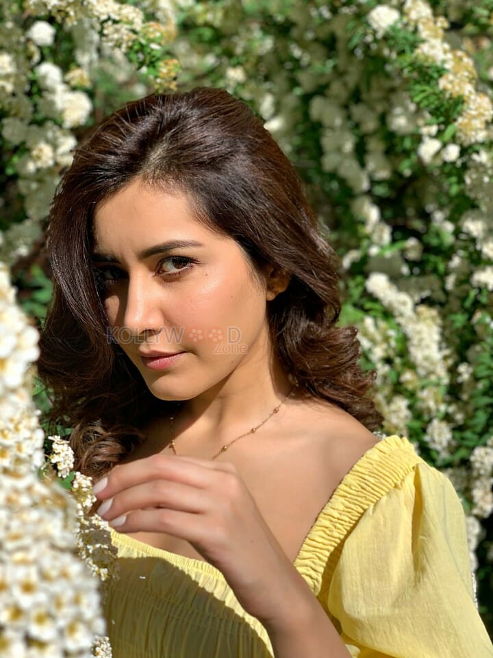 Sardar Movie Heroine Raashi Khanna Glamourous Pictures