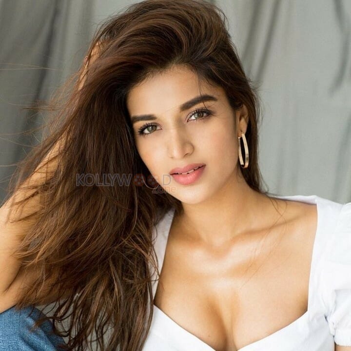 Savyasachi Actress Nidhhi Agerwal Hot Cleavage Photos