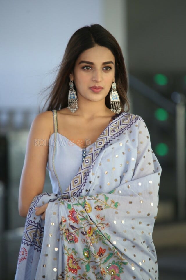 Savyasachi Heroine Nidhhi Agerwal Photos