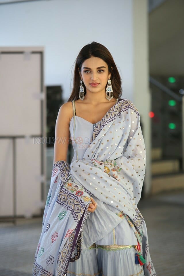 Savyasachi Heroine Nidhhi Agerwal Photos